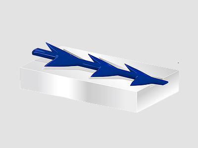FORTE DUAL