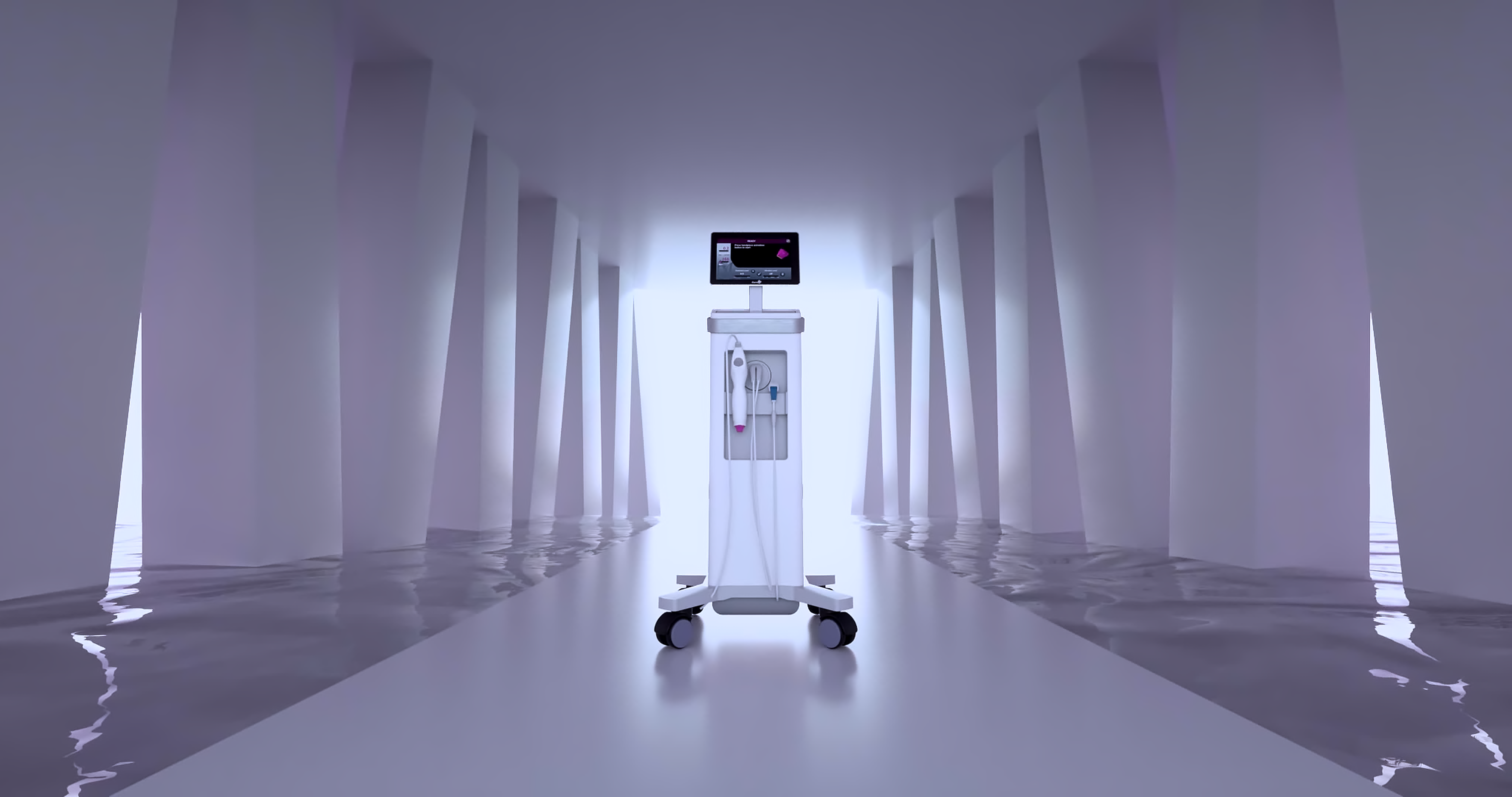 Thermage FLX